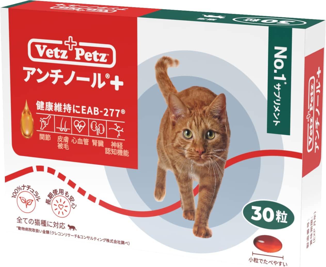アンチノール90錠2箱 【公式通販】